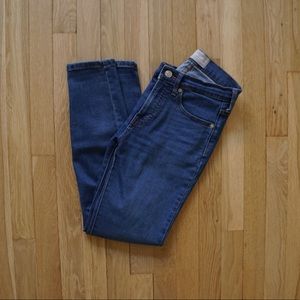 Everlane Authentic Stretch High-Rise Skinny